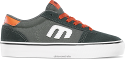 Etnies CALLI-VULC KIDS Green/Orange Etnies ZB24D861 Green/Orange