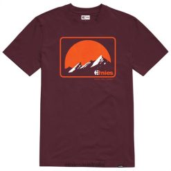 Etnies Etnies Mtn Ss Tee Burgundy ZB24D344 Burgundy